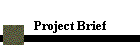 Project Brief