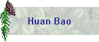 Huan Bao